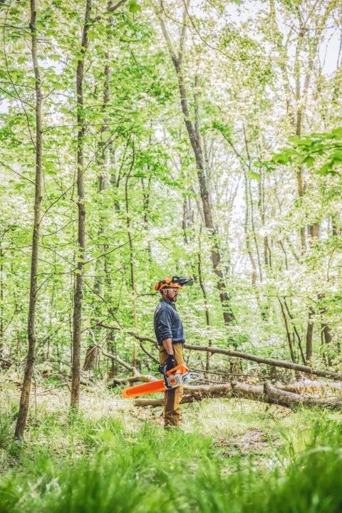 STIHL MS 391 25 in. Gas Chainsaw With 33 RS3