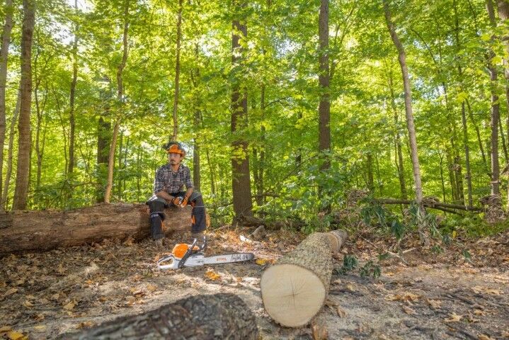 STIHL MS 362 C-M ElastoStart 25 in. Gas Chainsaw With 33 RS3