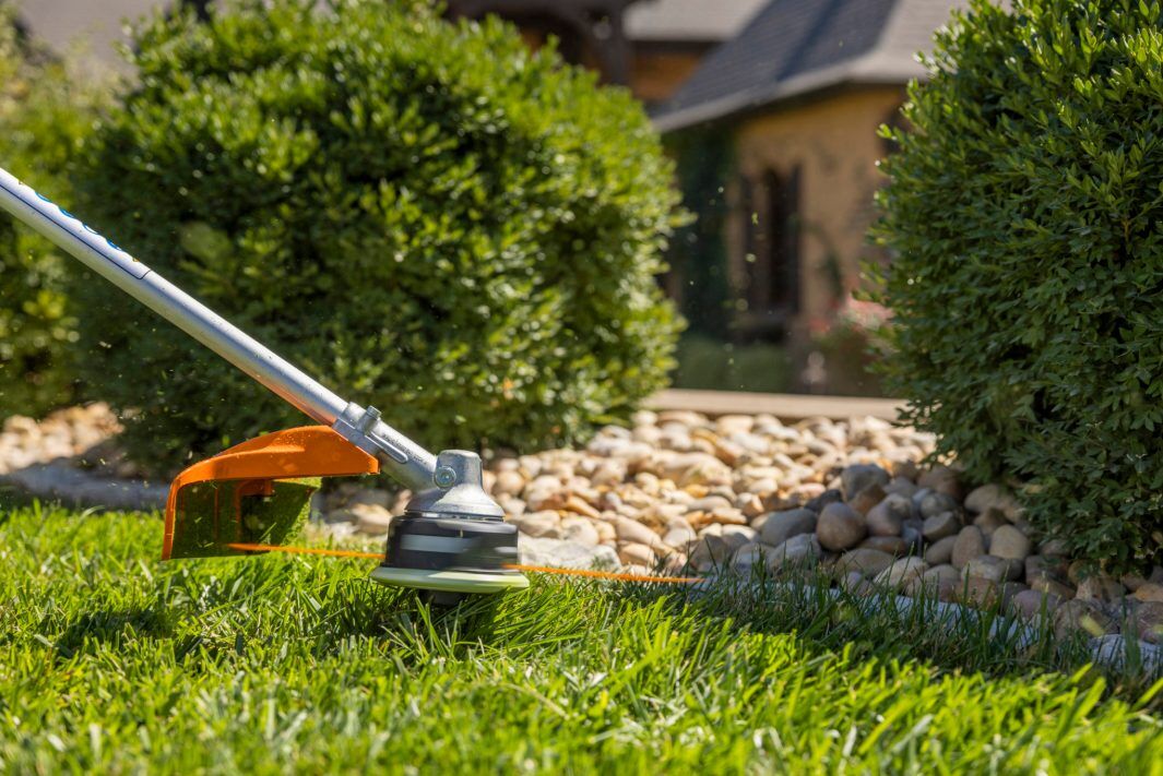 STIHL FS 94 R Gas String Trimmer, 16.5 in.