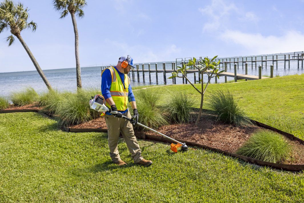 STIHL FS 131 R Gas String Trimmer, 16.5 in.