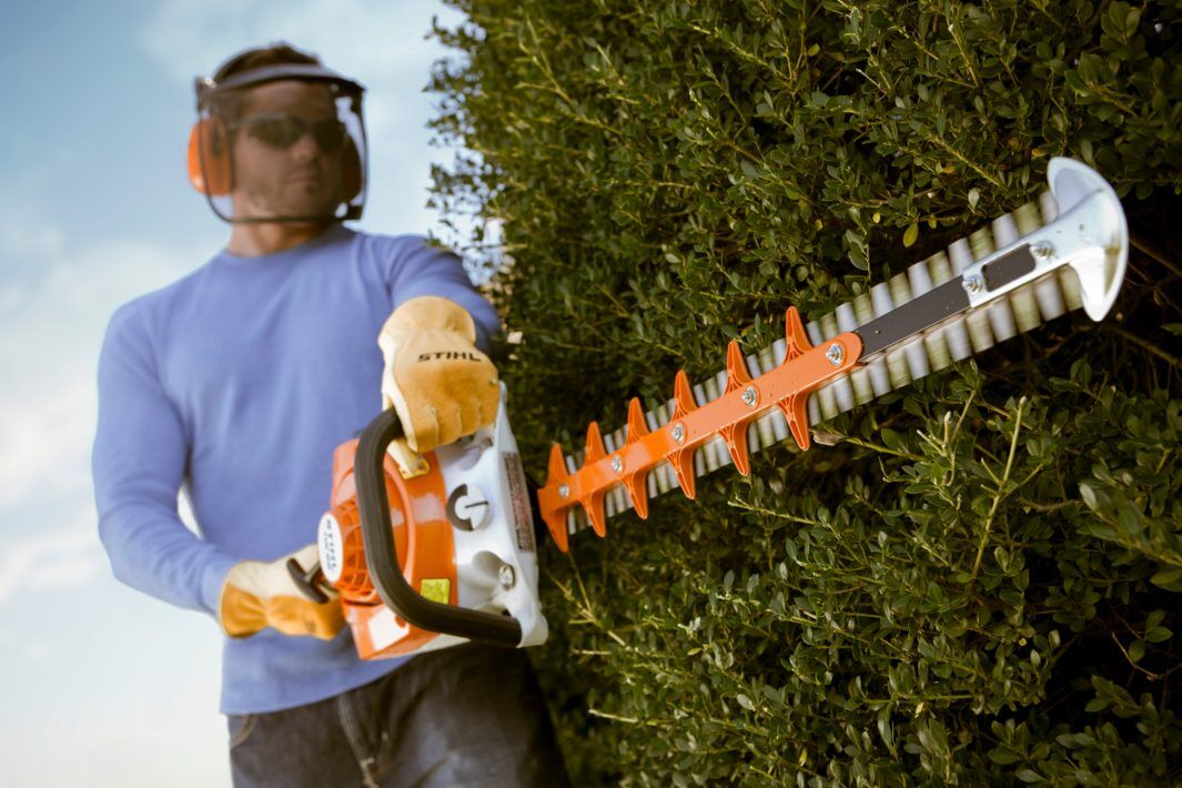 STIHL HS 56 Gas Hedge Trimmer, 24 in.