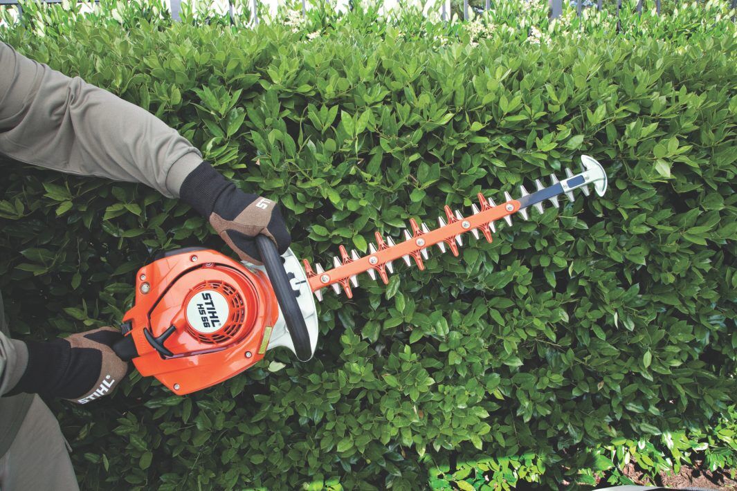 STIHL HS 56 Gas Hedge Trimmer, 24 in.