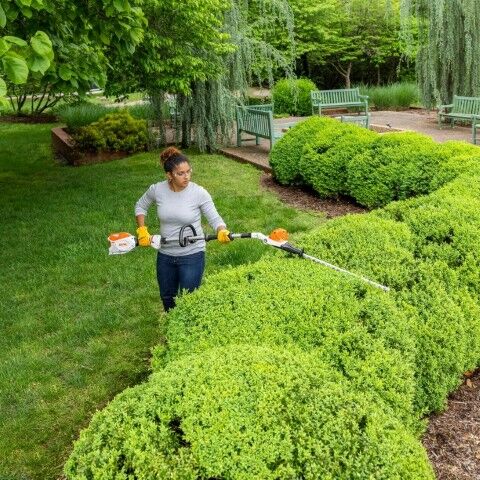 STIHL HLA 66 Battery Powered Extended Reach Hedge Trimmer (Tool Only)
