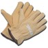 Stihl Extra Large Homescaper Glove