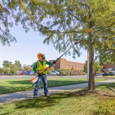 Stihl HTA 135 Pole trimmer