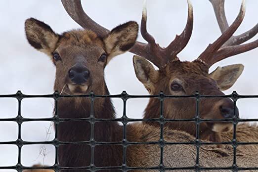 Tenax Black Elk Fence, 7.5-Ft x 100-Ft