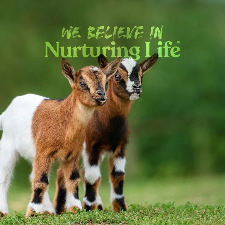 Manna Pro Kid Milk Replacer, 4-Lb