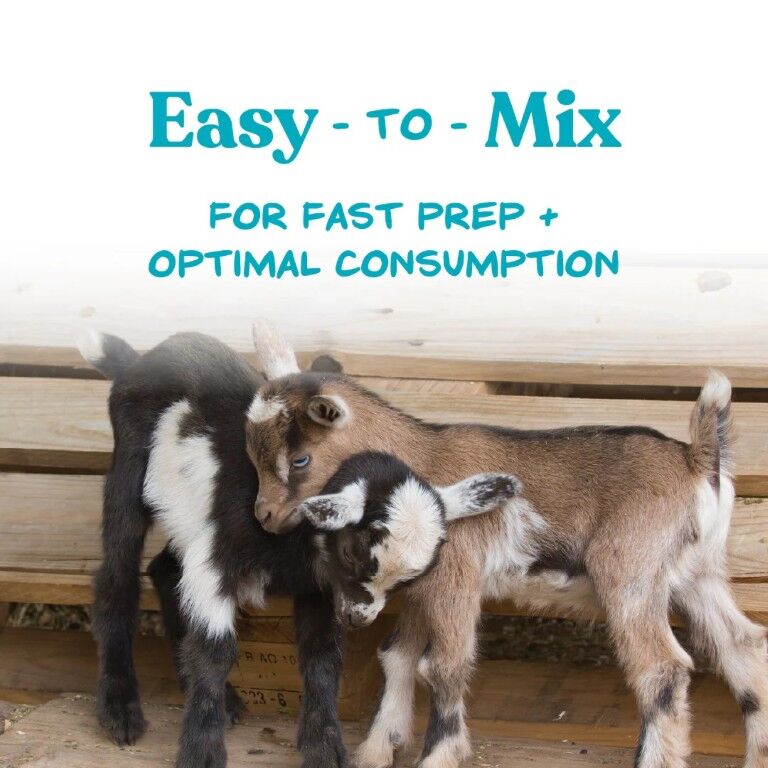 Manna Pro Kid Milk Replacer, 4-Lb