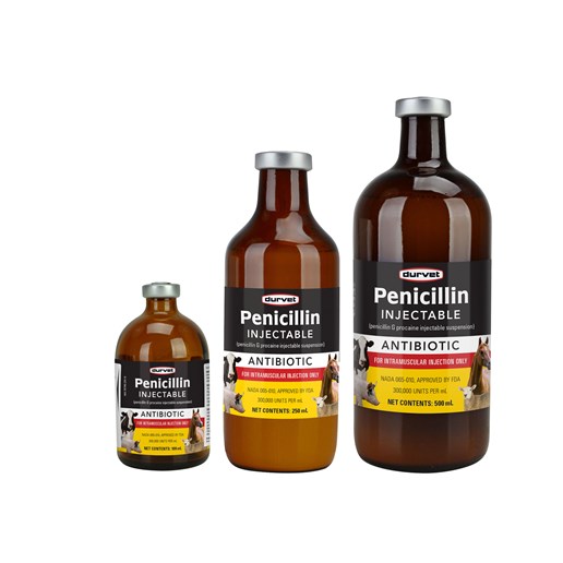 Penicillin Injectable, 250-mL