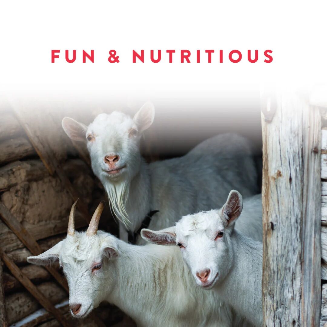 Manna Pro Goat Balancer, 10-Lb