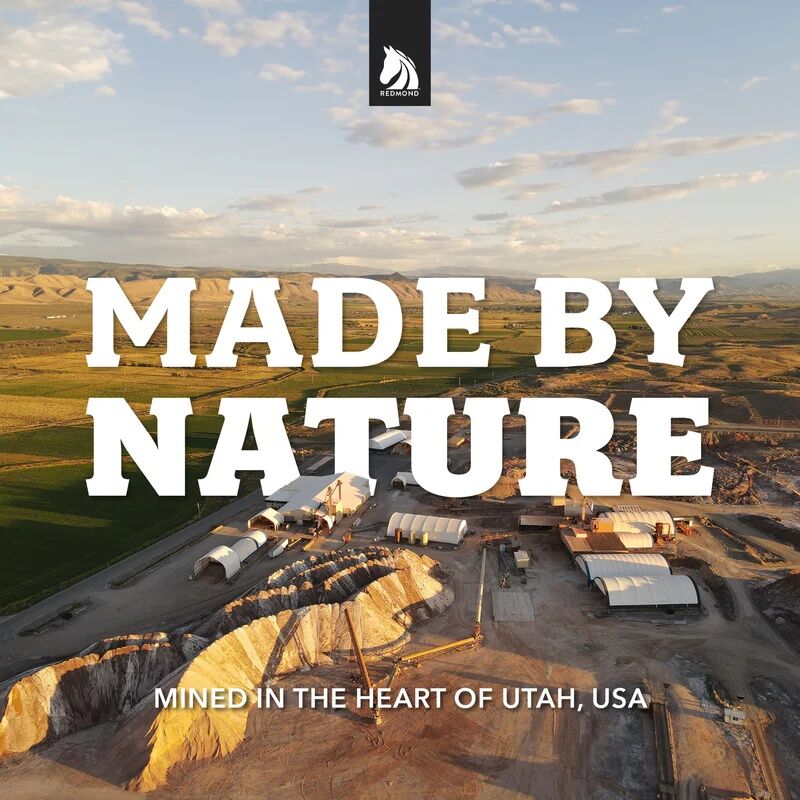 Redmond Rock On A Rope Mined Horse Salt Lick, 3-Lb