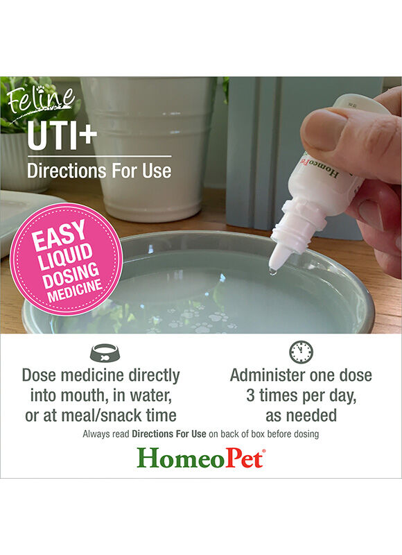 HomeoPet Feline UTI+ Medicine, 15-mL