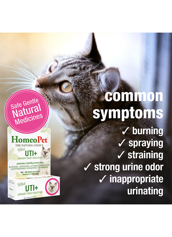 HomeoPet Feline UTI+ Medicine, 15-mL