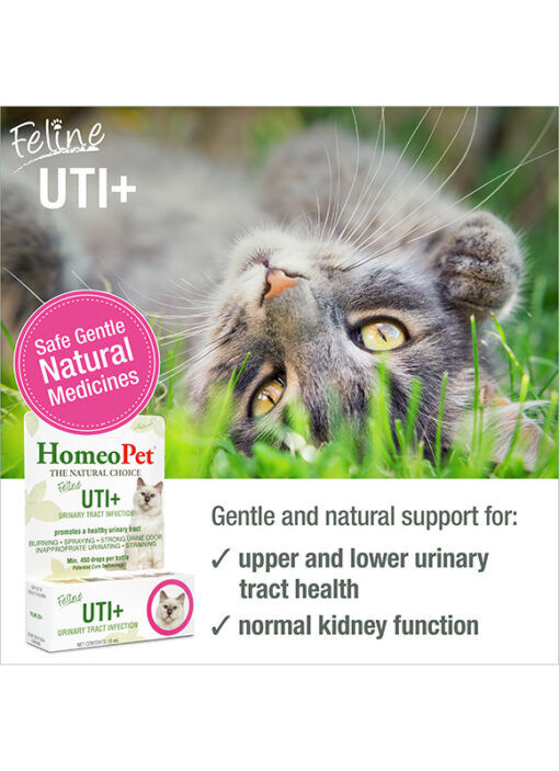 HomeoPet Feline UTI+ Medicine, 15-mL