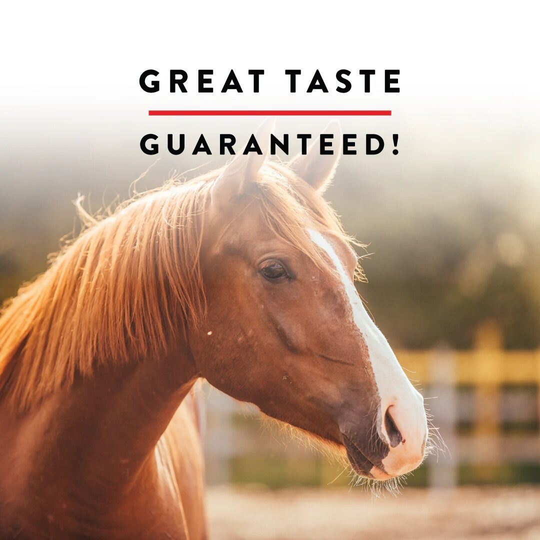 Manna Pro Apple Wafer Horse Treats, 20-Lb