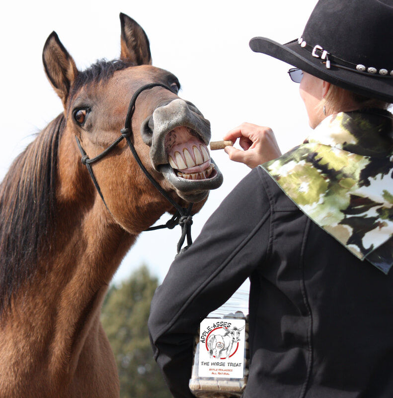 NorthWest Horse Supplement Apple-Asses Horse Treats, 3-Lb