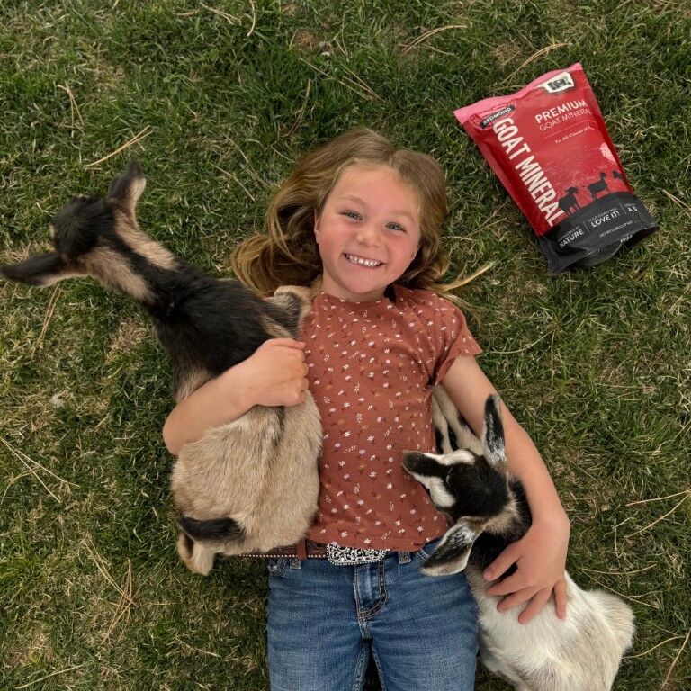 Redmond Goat Mineral Mix, 5-Lb