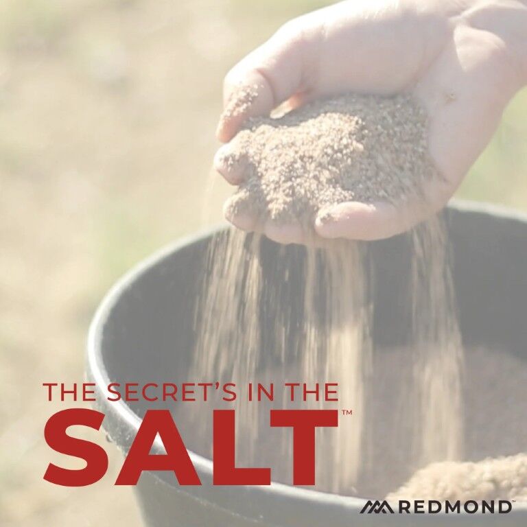 Redmond Goat Mineral Mix, 5-Lb