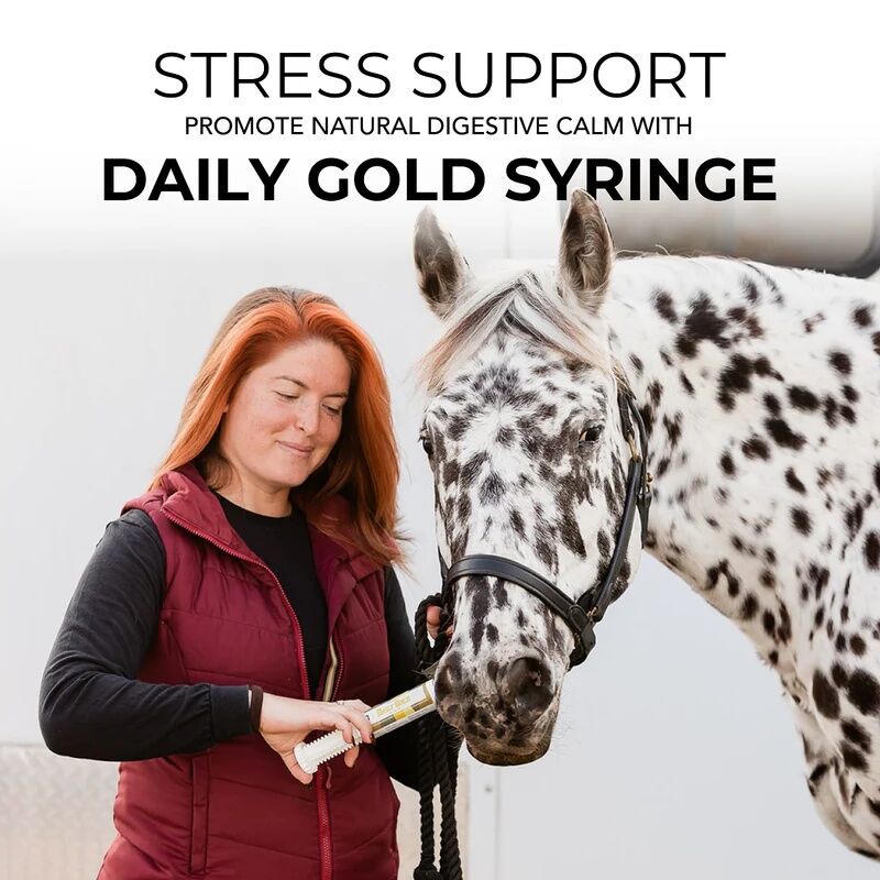 Daily Gold Paste Digestive Equine Stress Relief, 60-cc