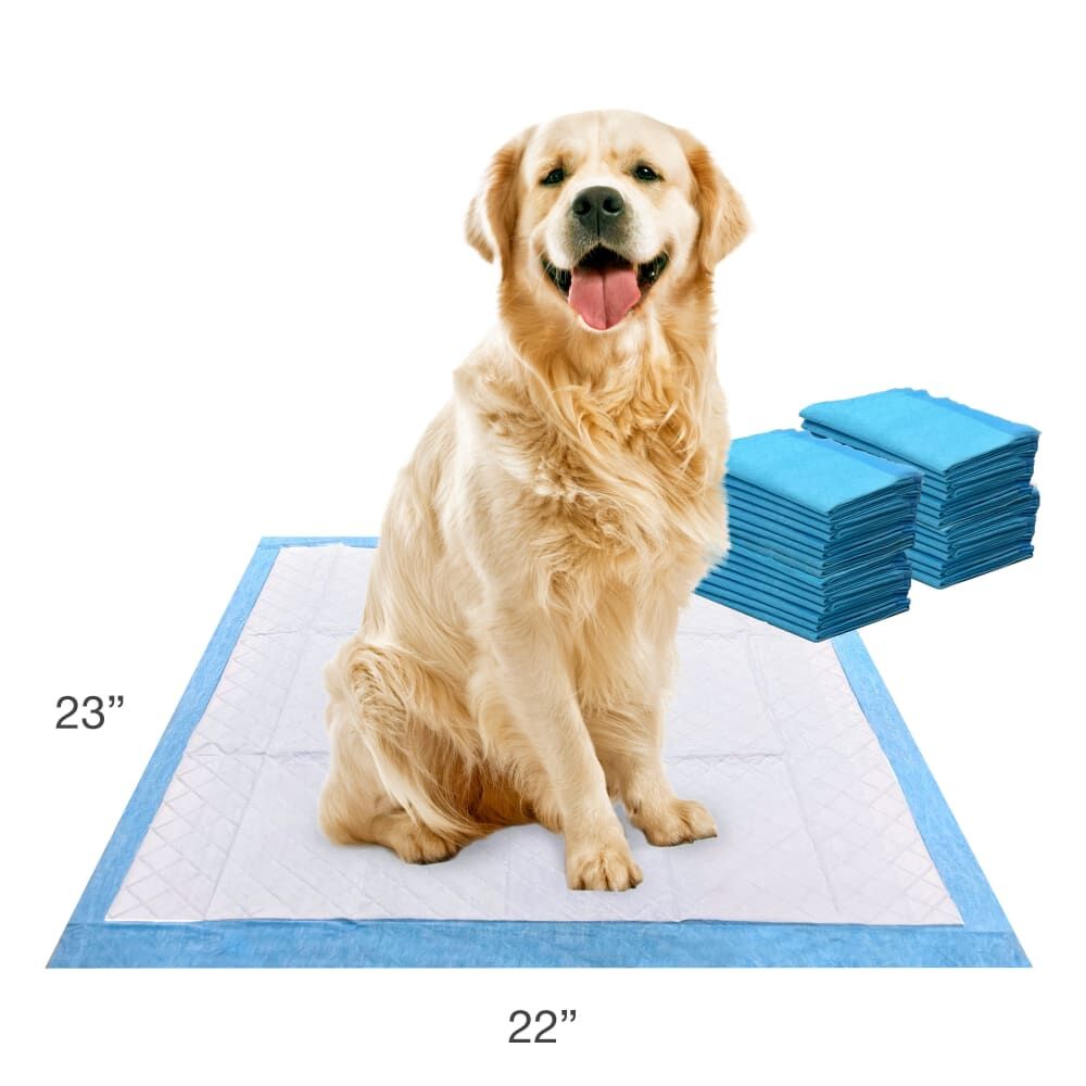Four Paws Wee-Wee Superior Performance Dog Pee Pads, 22-In x 23-In, 30-Pk