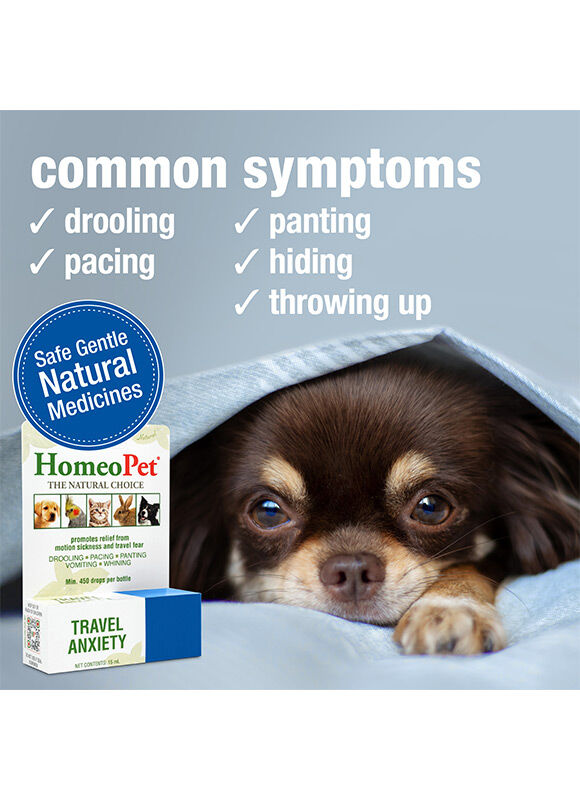 HomeoPet Travel Anxiety, 15-mL