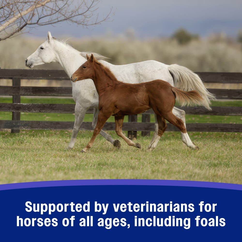 Farnam SandClear Natural Psyllium Crumbles, 10-Lb