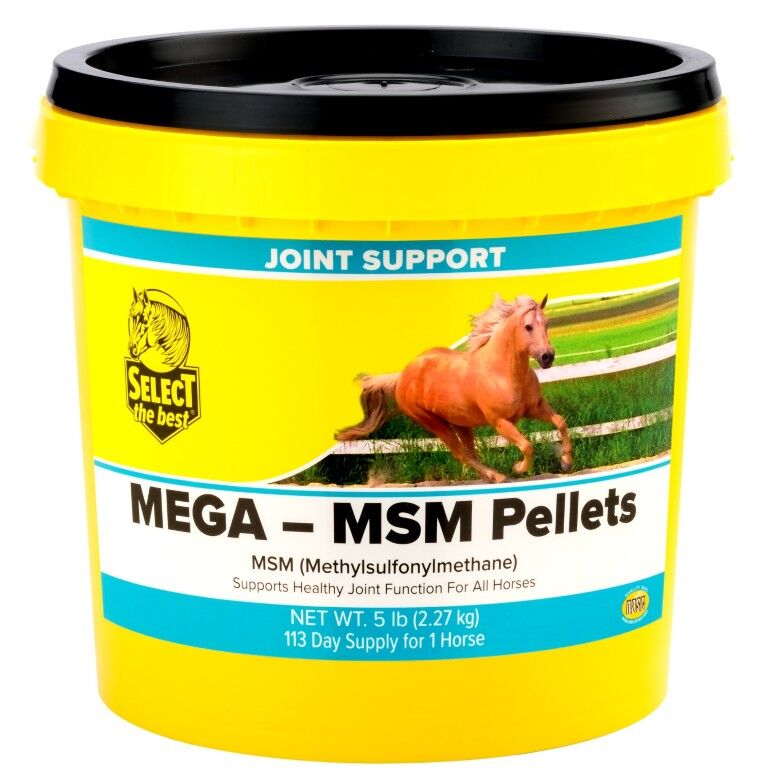 Select The Best Mega MSM Pellets, 5-Lb