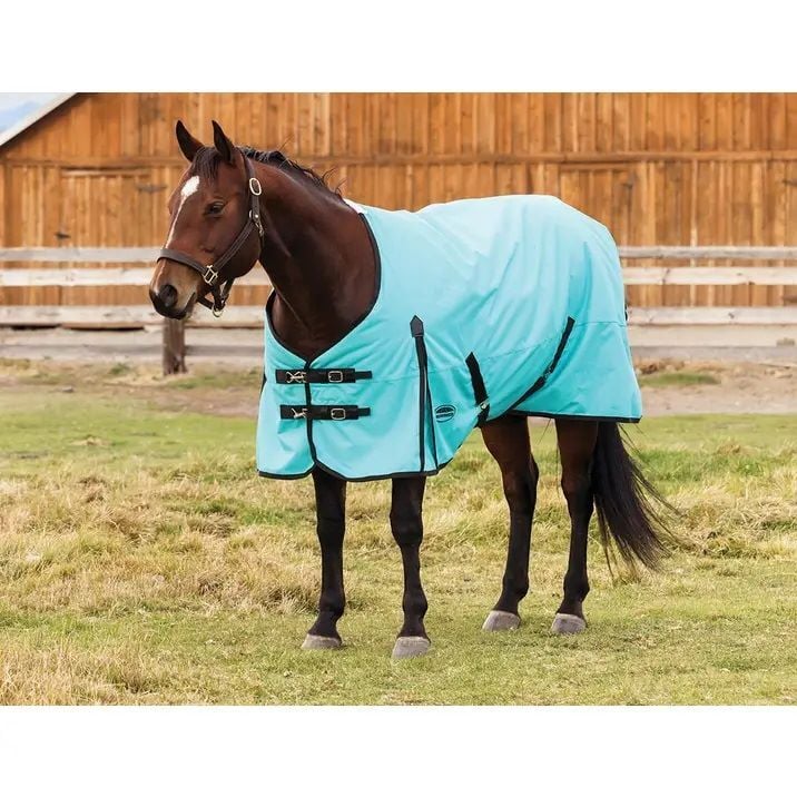 Weatherbeeta Turquoise & Black ComFiTec Original Standard Neck Medium, 78-In