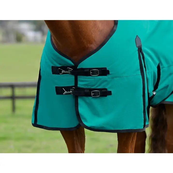 Weatherbeeta Turquoise & Black ComFiTec Original Standard Neck Medium, 78-In