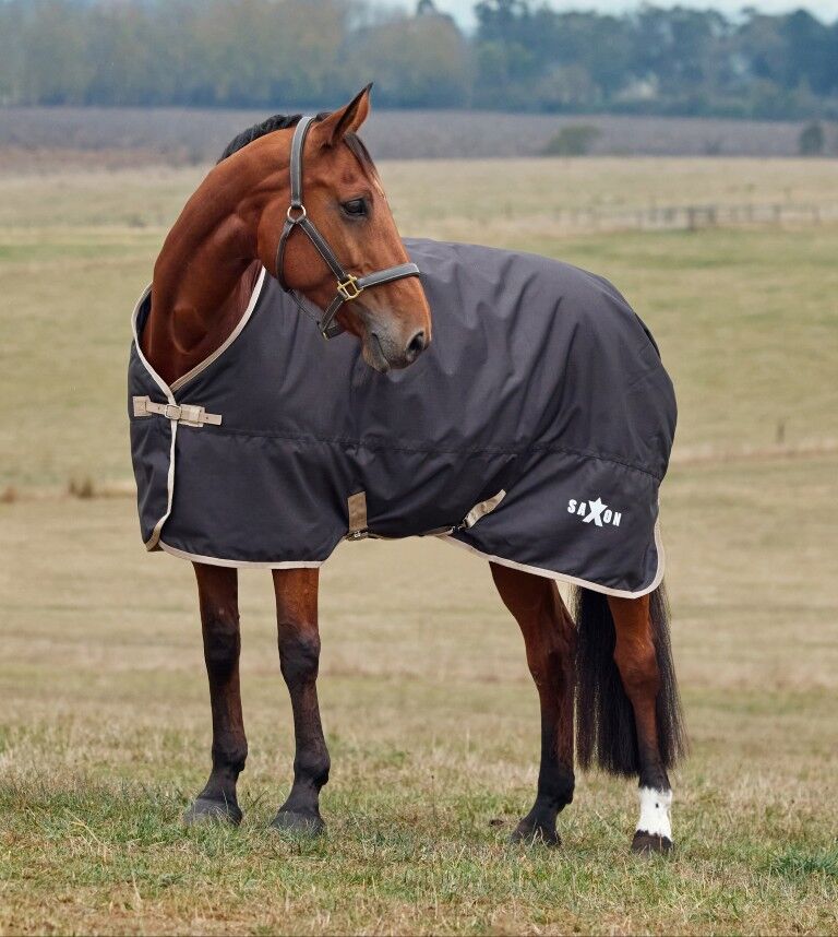 Weatherbeeta Black Saxon Defiant 1200D Standard Neck Medium Turnout Blanket, 75-In