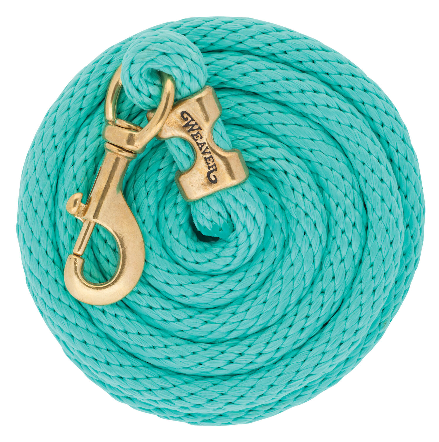 10 MINT POLY LEAD ROPE