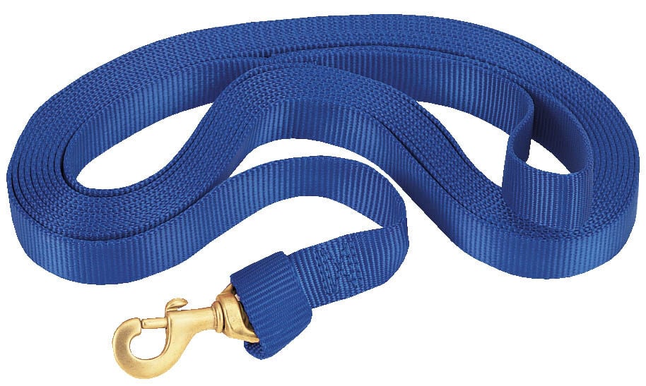 BLUE 1" X 30' LUNGE LINE
