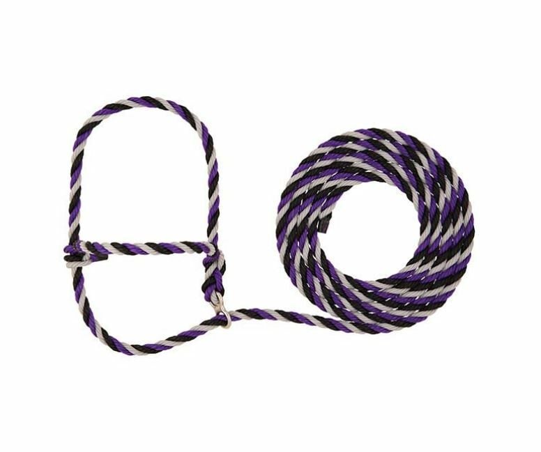 Stierwalt Breaking Halter