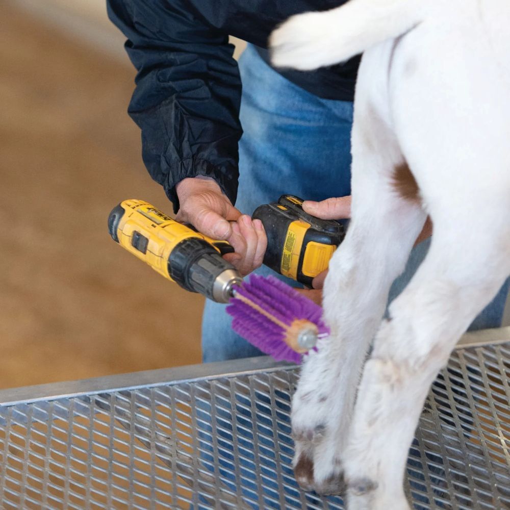 Weaver Leather Regular Roto Brush Alternating Bristles