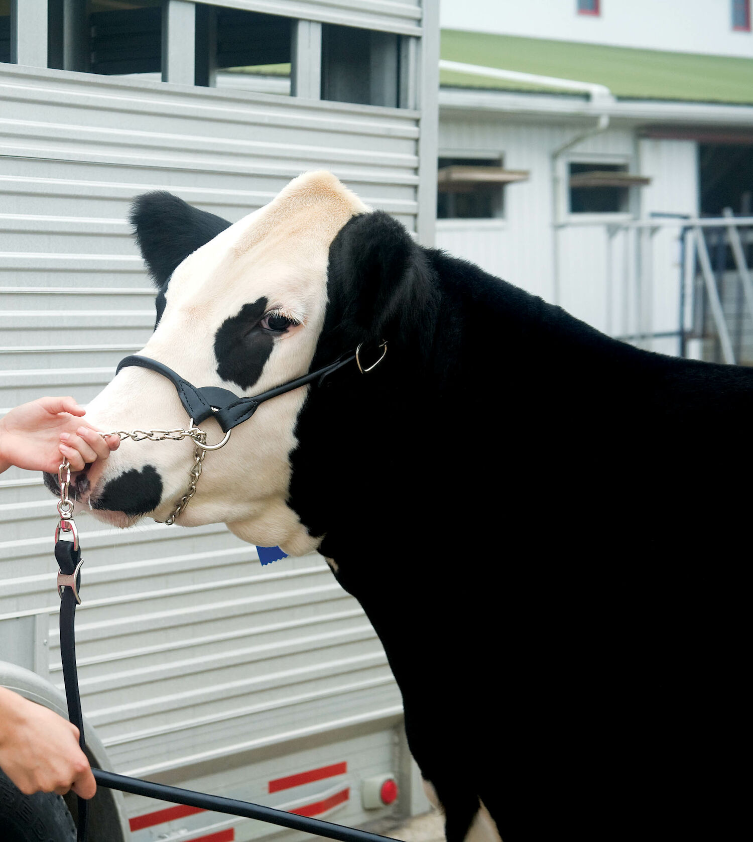 BLK SML ROUND SHOW HLTR