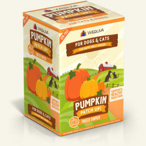 Puréed Pumpkin Pumpkin Supplement (1.05 Oz Pouch)