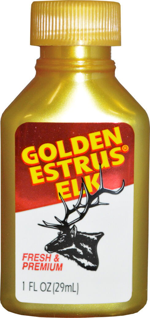 Golden Estrus Elk