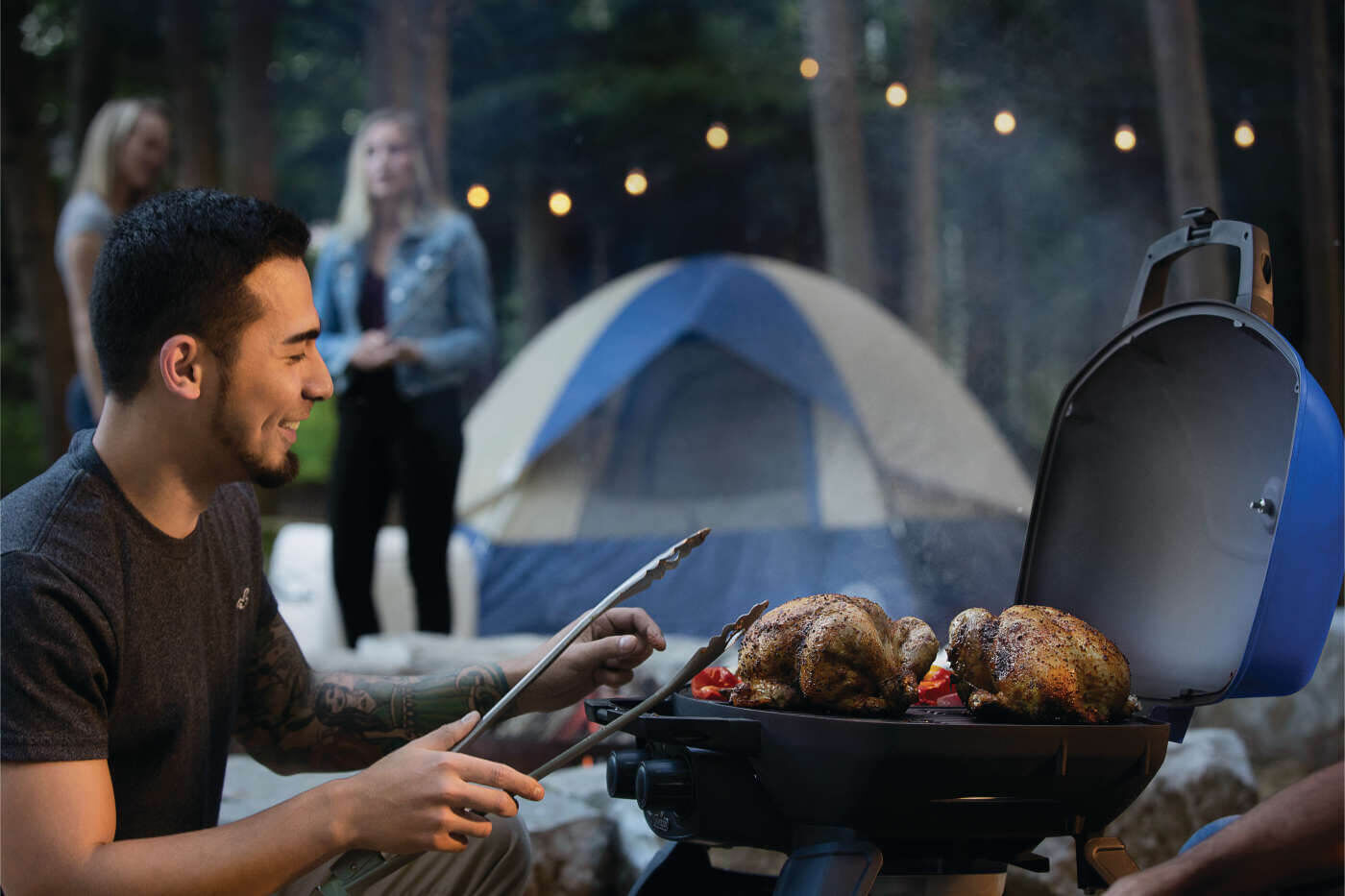 Napoleon TravelQ 285 Blue 2-Burner Portable Propane Grill