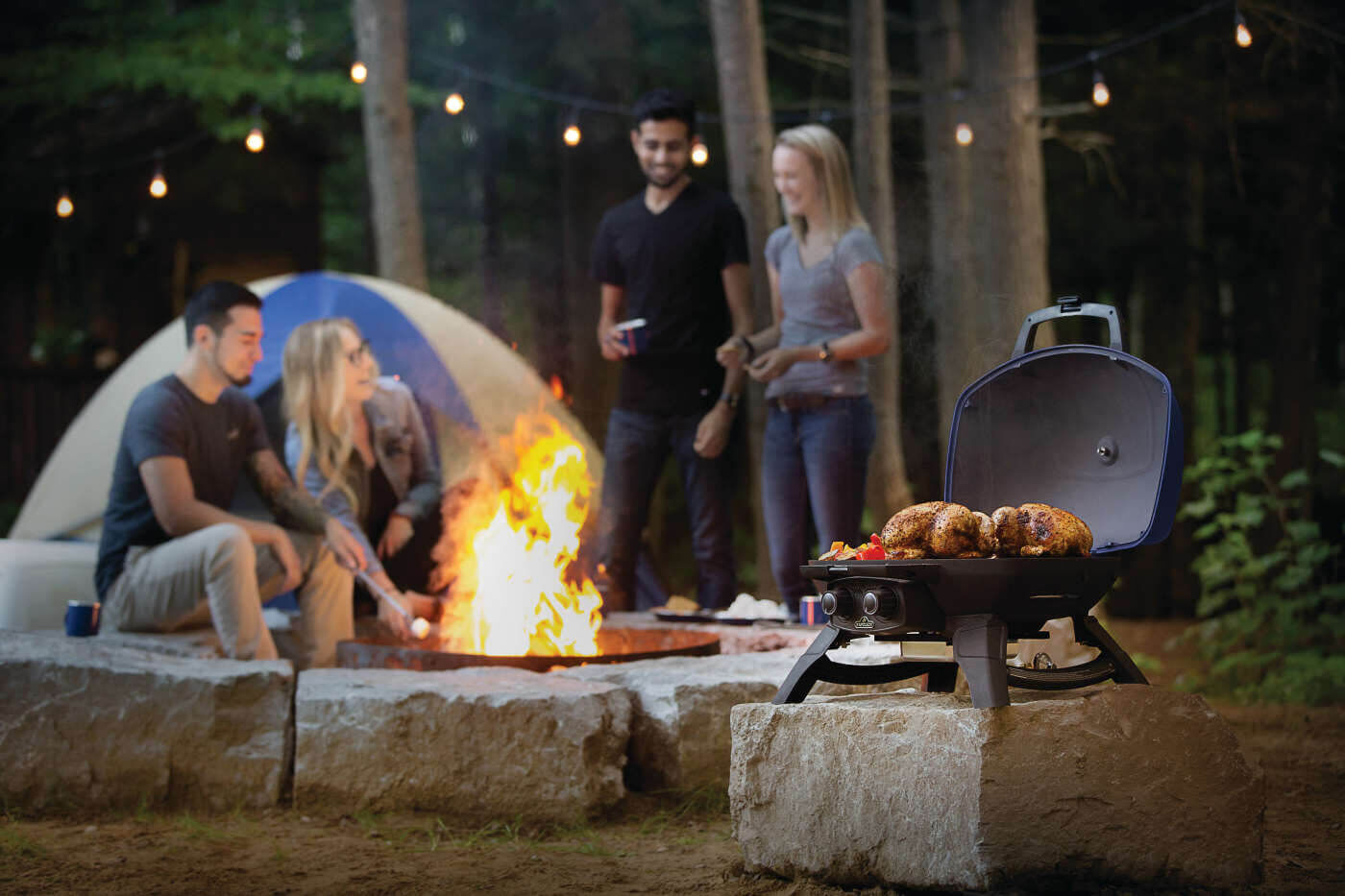 Napoleon TravelQ 285 Blue 2-Burner Portable Propane Grill