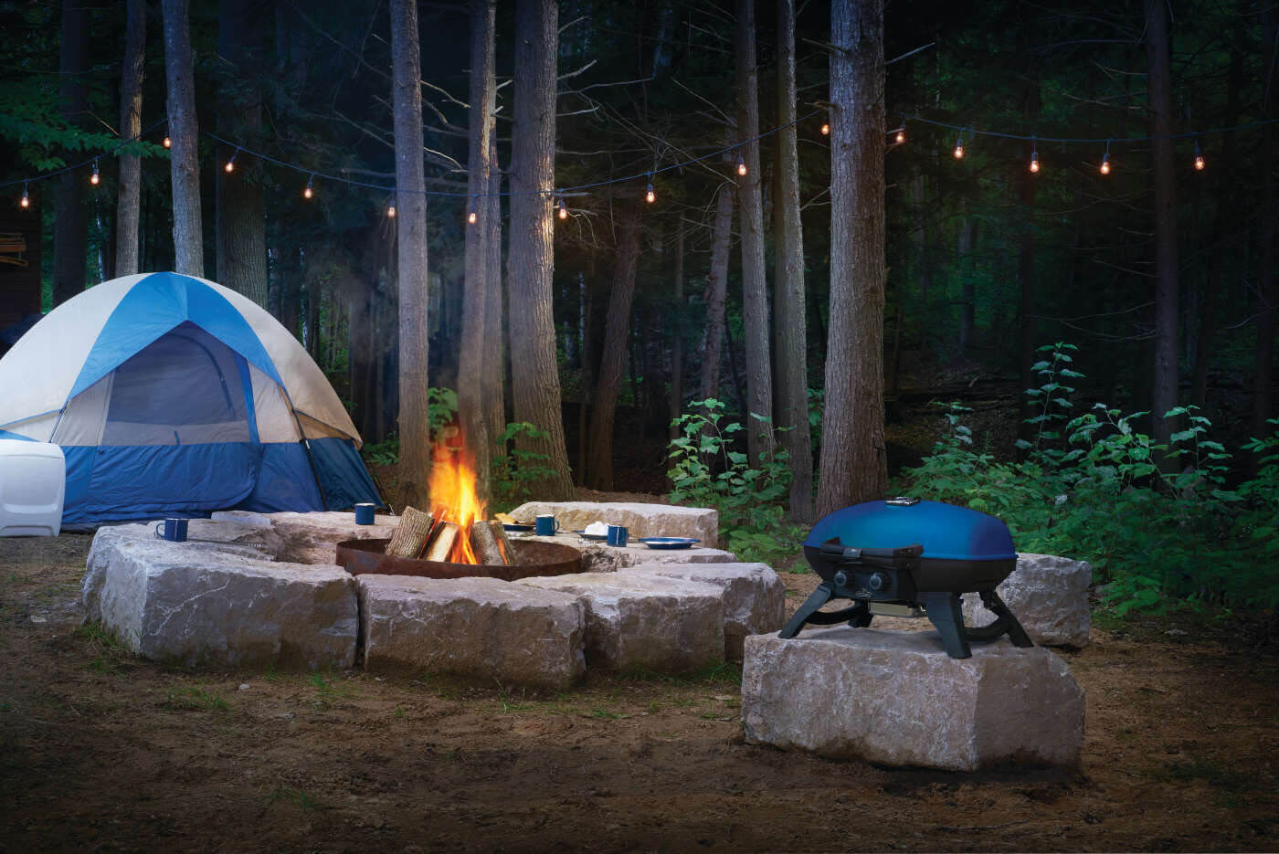 Napoleon TravelQ 285 Blue 2-Burner Portable Propane Grill