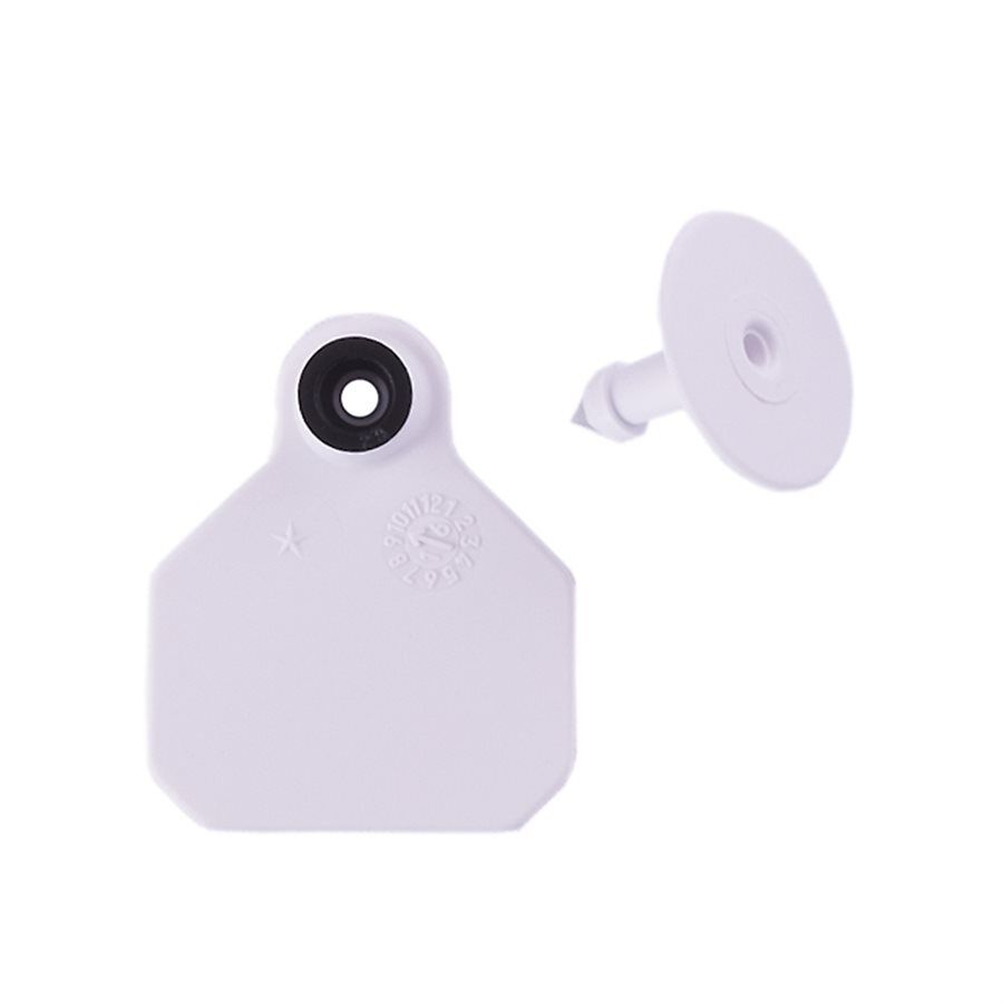 Blank Mini White Tag