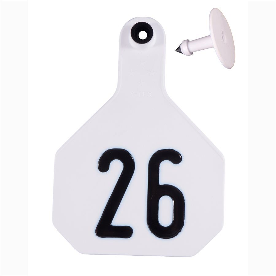 Numbered 26-50 Large White Ear Tag