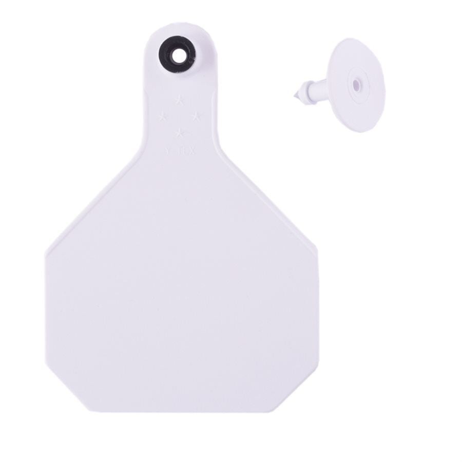 Blank Large White Ear Tag
