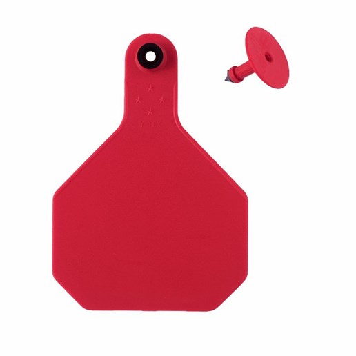 Blank Large Red Ear Tag