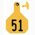 Numbered 51-75 Large Yellow Ear Tags