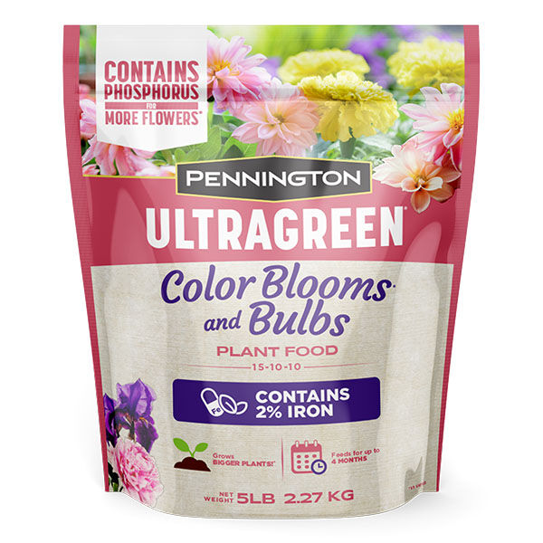 PUG-Color-Blooms.jpg