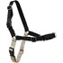 Easy Walk® No Pull Harness in Black, Large