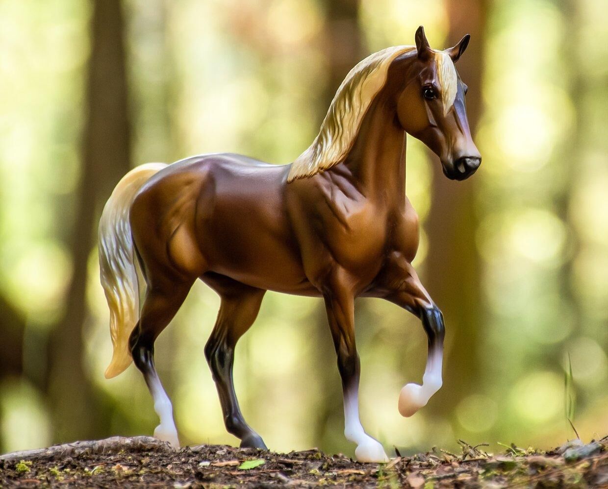 Silver Bay Morab Horse