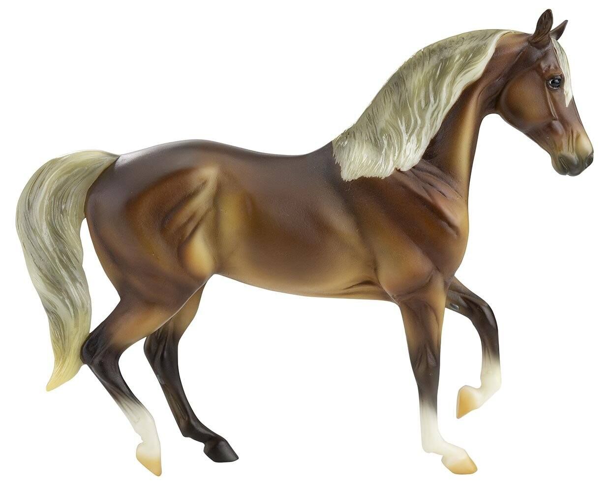 Silver Bay Morab Horse