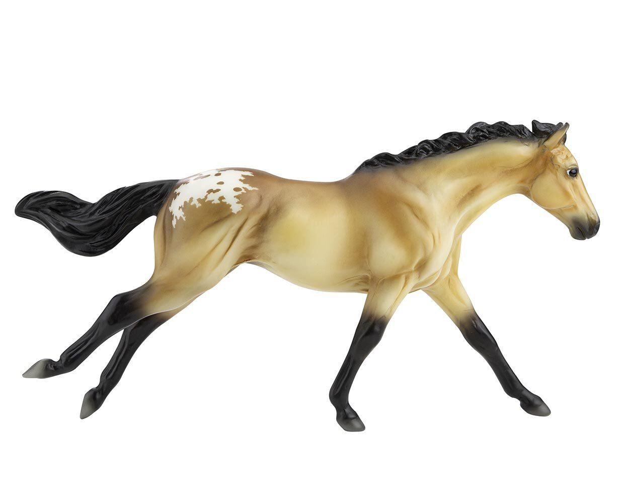 Buckskin Blanket Appaloosa Horse